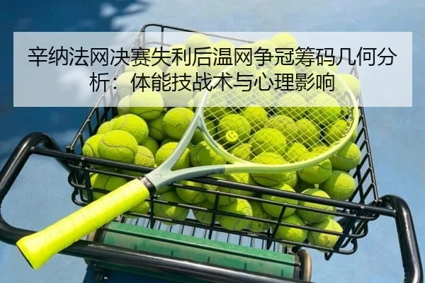 辛纳法网决赛失利后温网争冠筹码几何分析：体能技战术与心理影响 - hth.com
